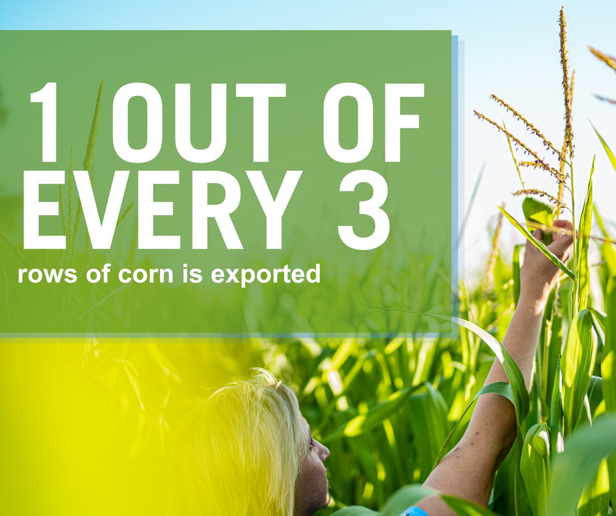 National Corn (NCGA) tweet media