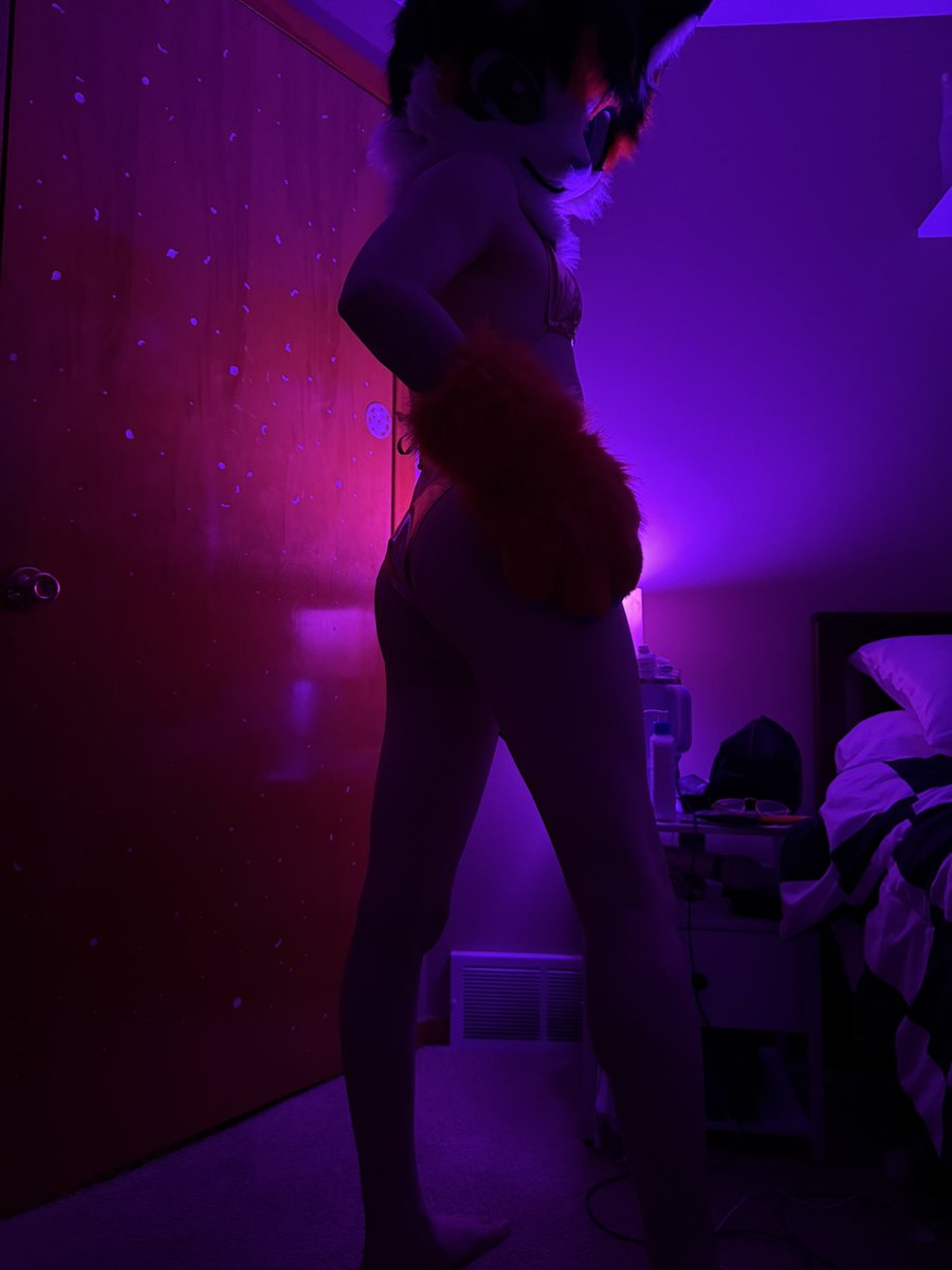 🩵 Harper 🧡 tweet media