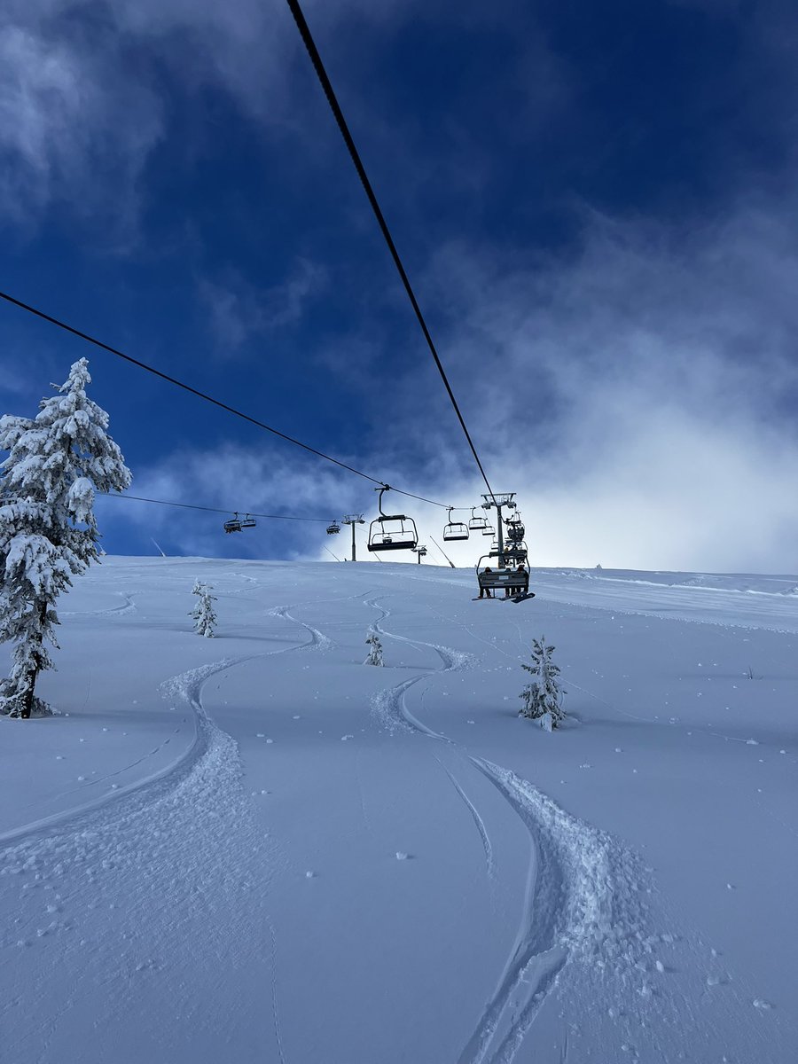 mortis 🪩 tweet media