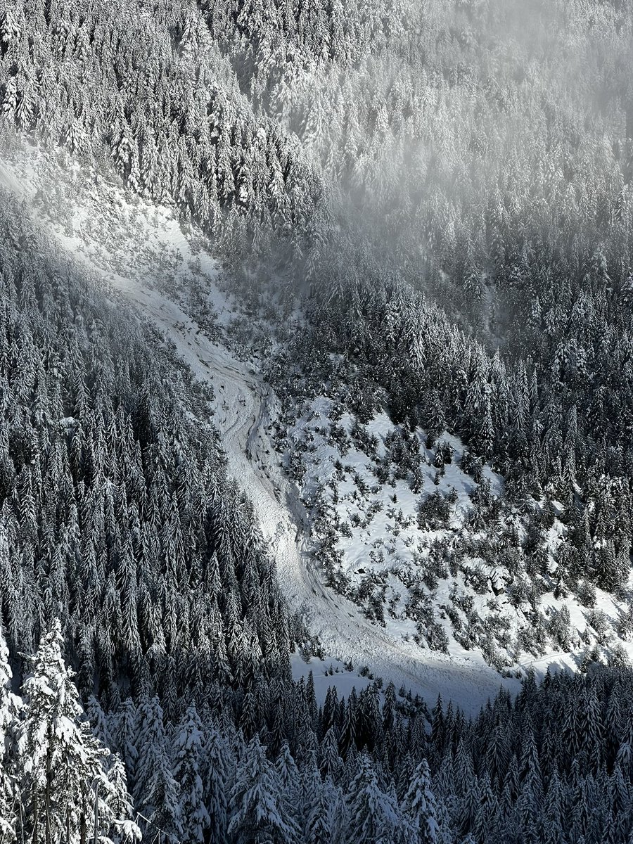 mortis 🪩 tweet media