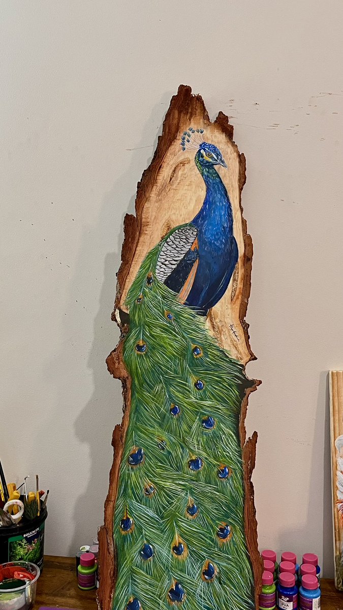 Tiago🇧🇷 tweet media