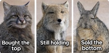 unprofit4ble tweet media