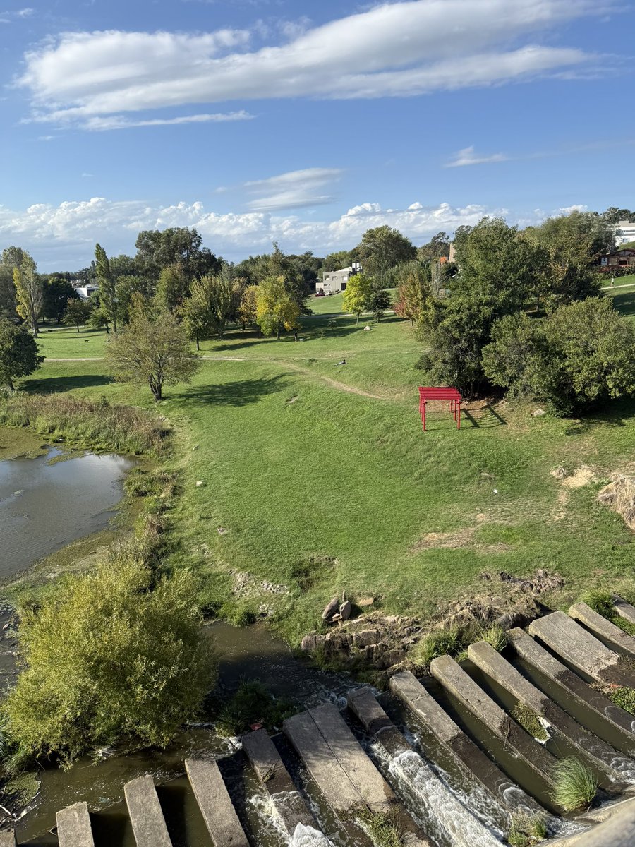 Jefa del ahorro tweet media