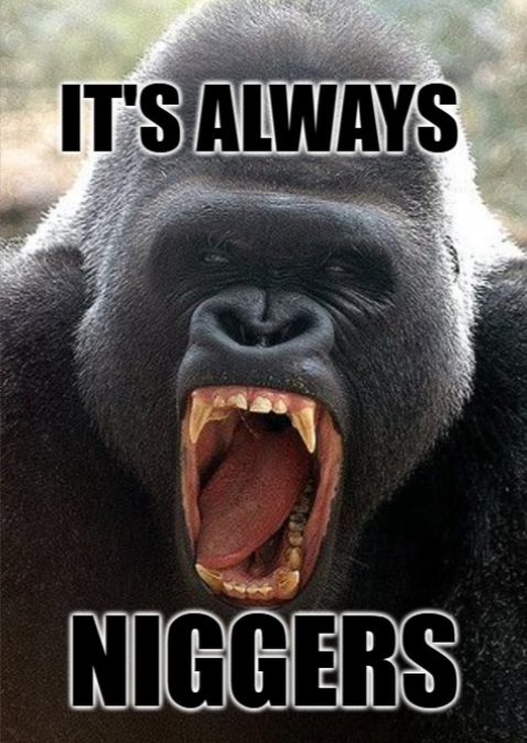 🦅🇺🇸 US Army Veteran 🇺🇸🦅 tweet media