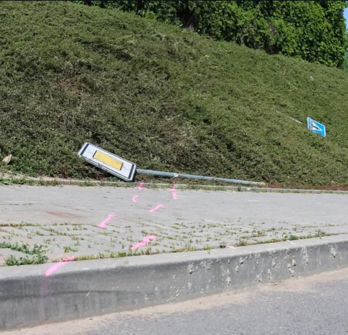 Be Stella tweet media