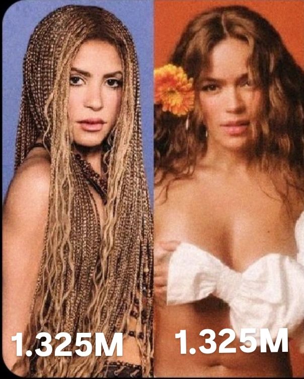 lobadomesticada tweet media