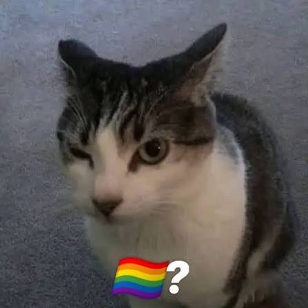 Dr. Fenix tweet media