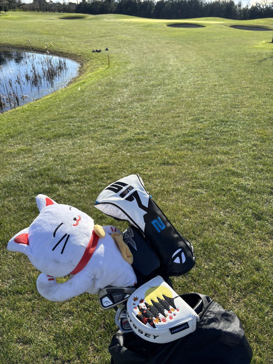 JP 🇮🇪 tweet media