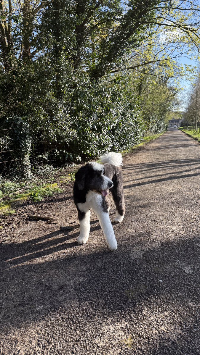 Scott Bateman MBE tweet media