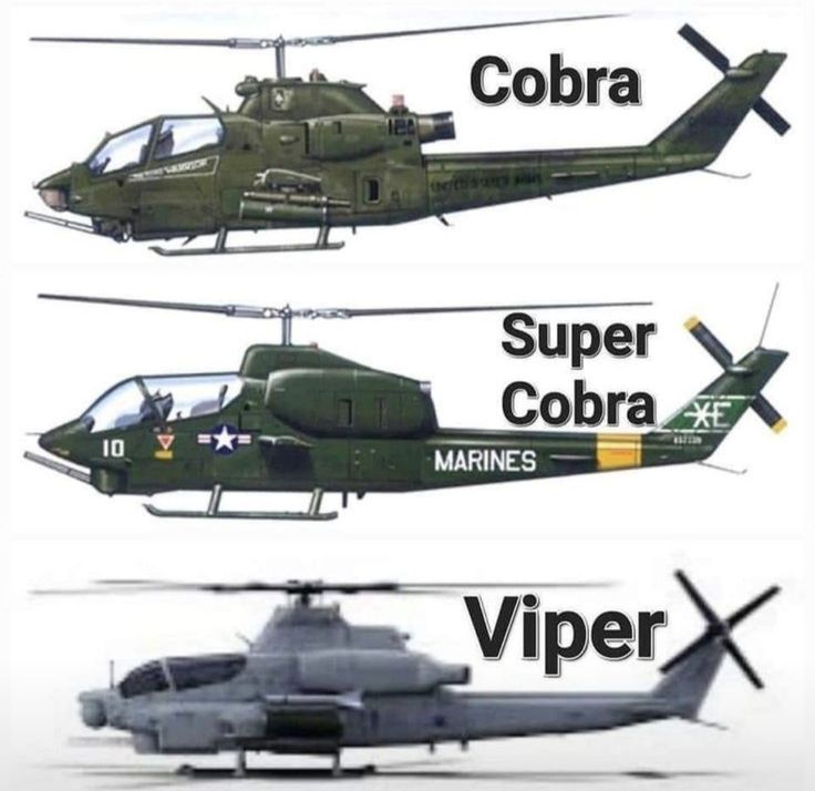 Gun Fanatics tweet media