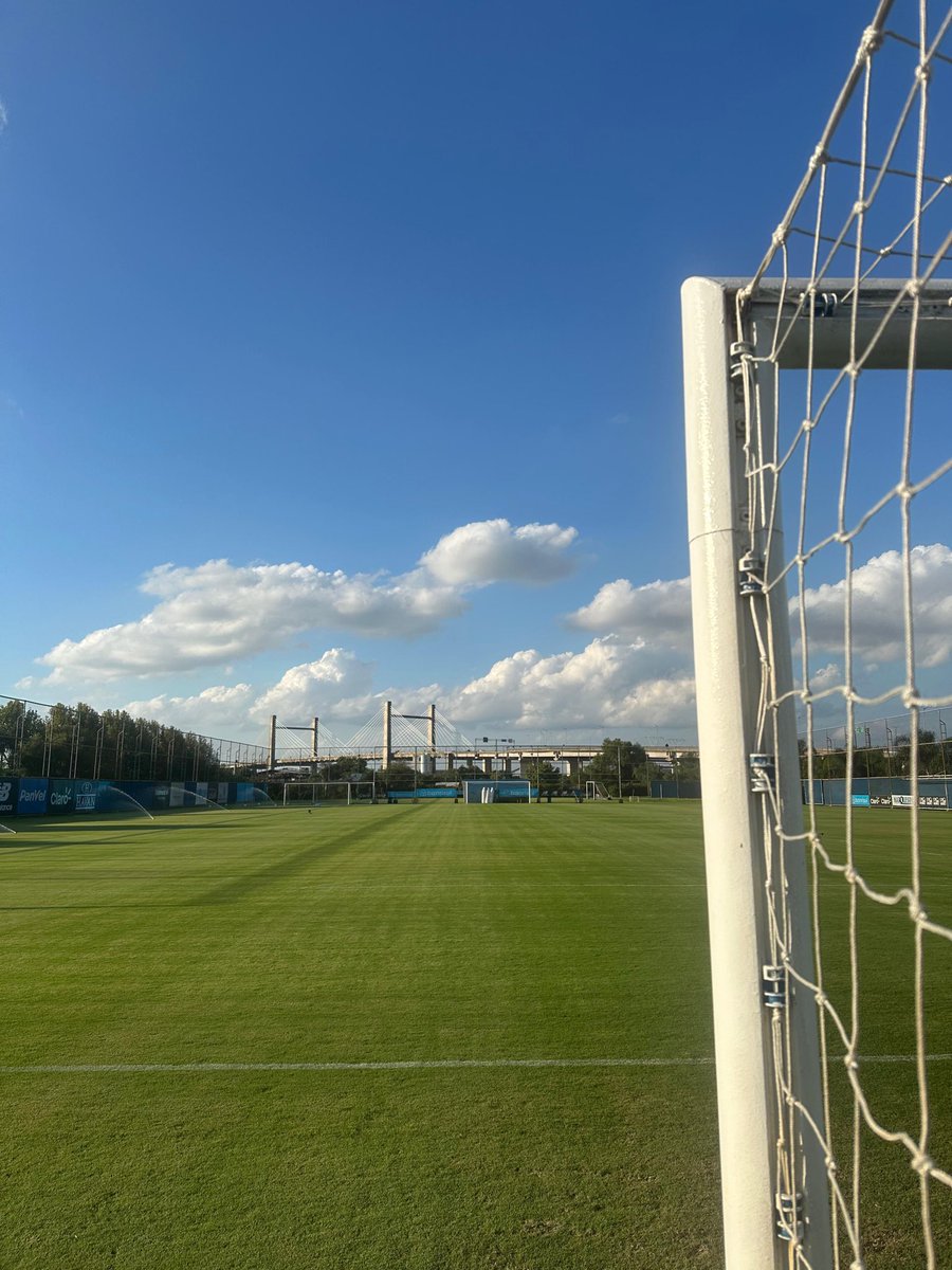 Grêmio FBPA tweet media