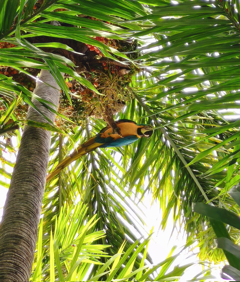 Franciele Becher 🗃️ tweet media