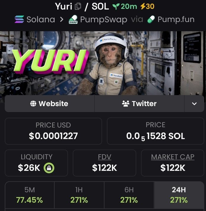 SolanaPrincess tweet media