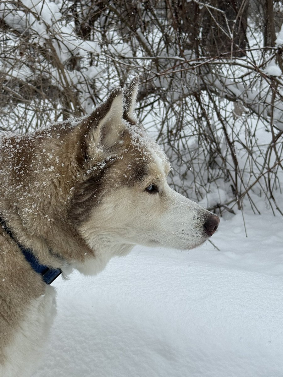 Kelly Zeeh 🙄 tweet media