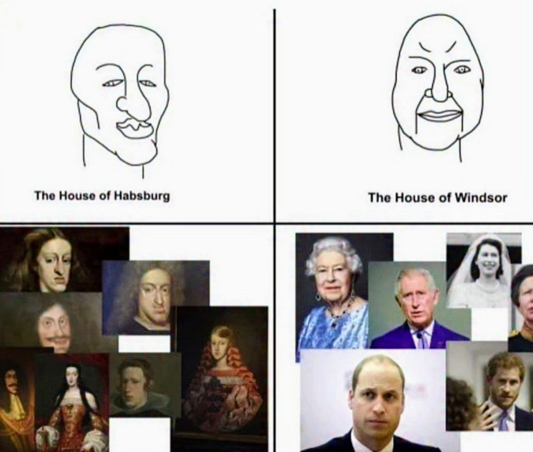 Vladimir Borisoff tweet media