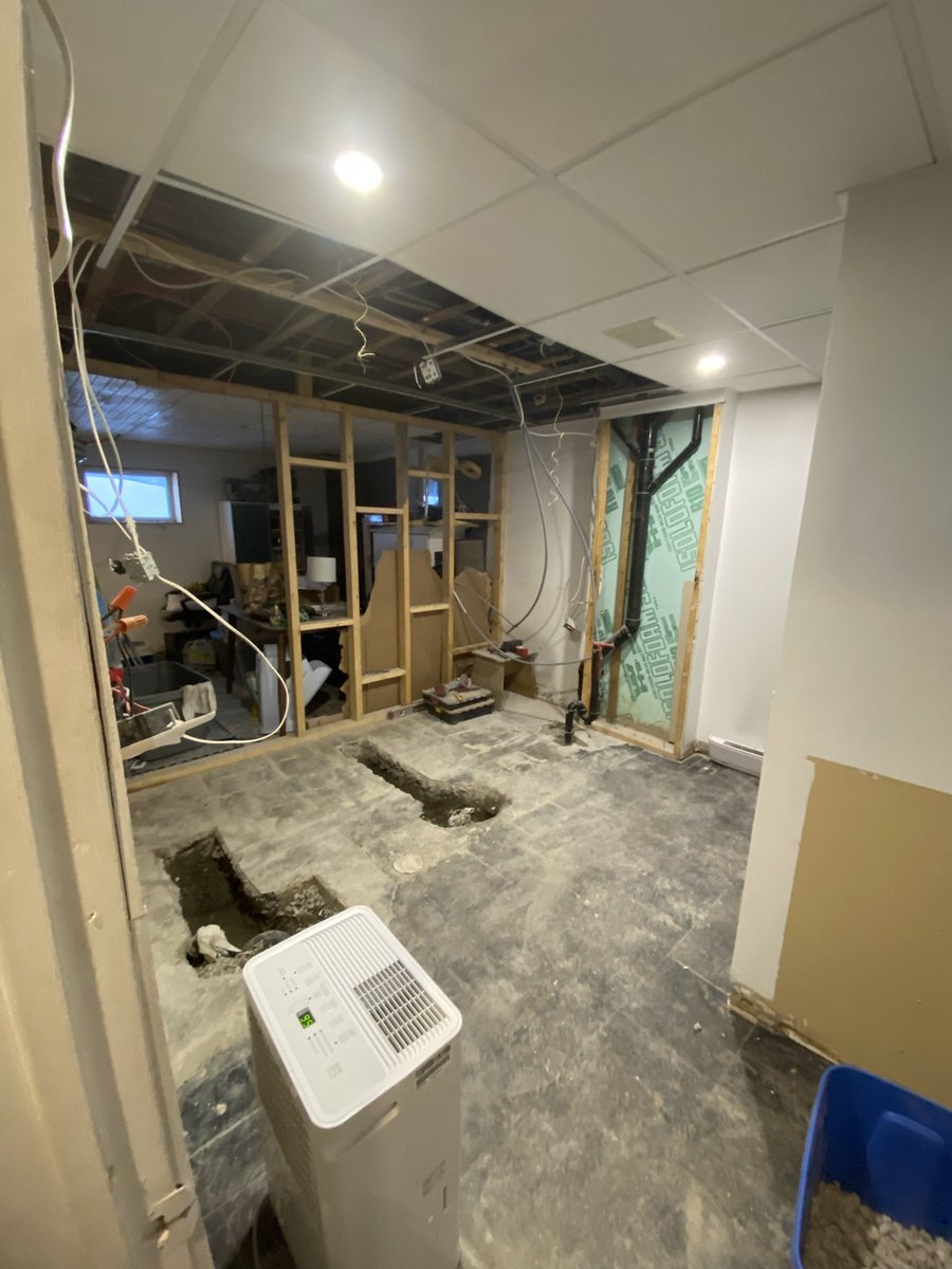 perruche potineuse 🦜 tweet media