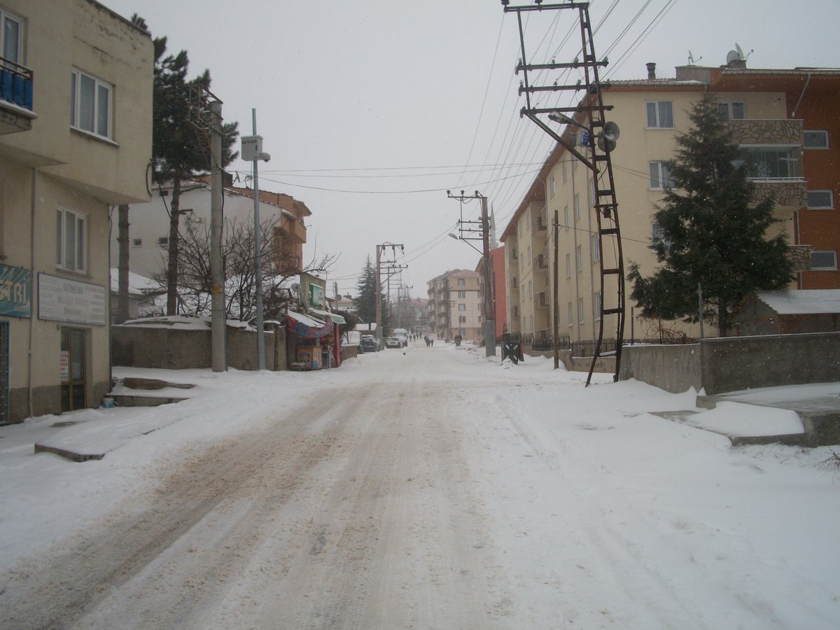 ahmet zekai tweet media