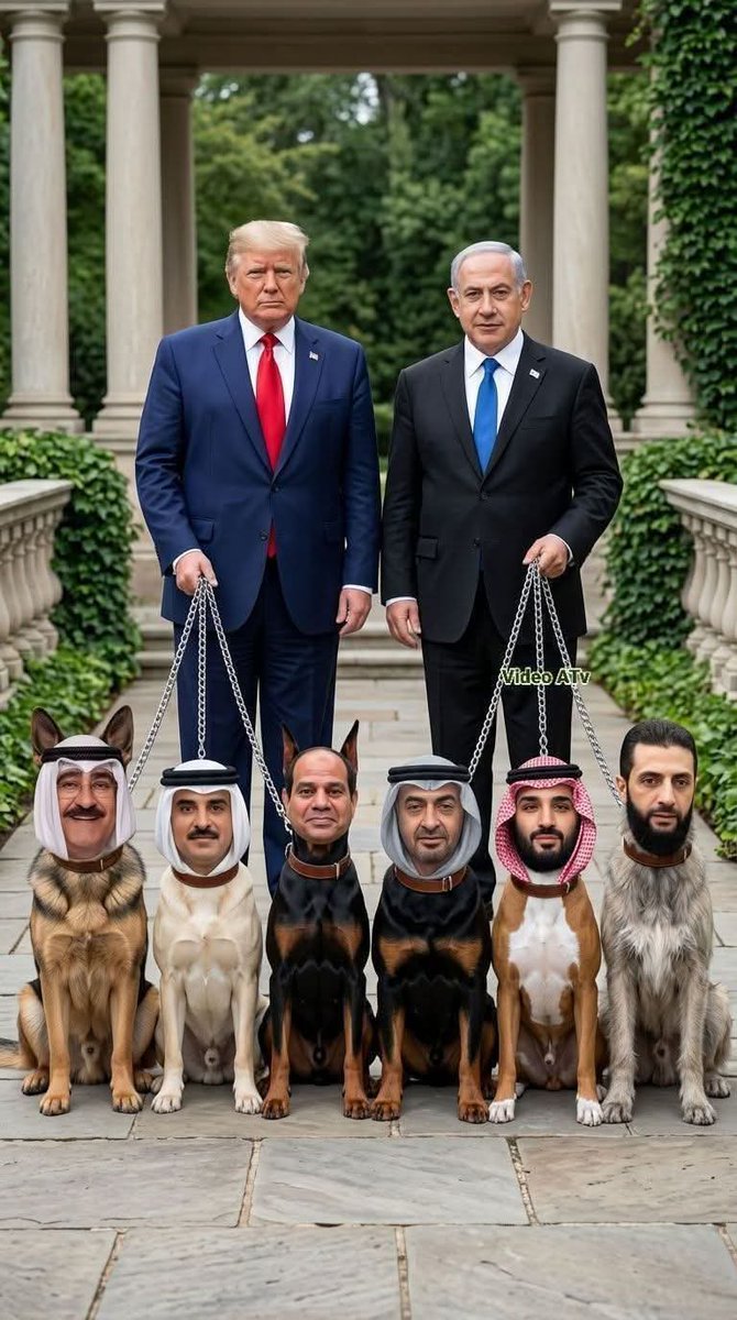 صقر الميدان tweet media