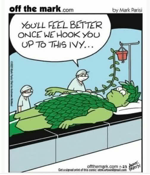 He's real down-to-earth.