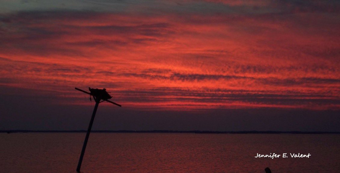 Jennifer Erin Valent 🇺🇸🇺🇦 tweet media