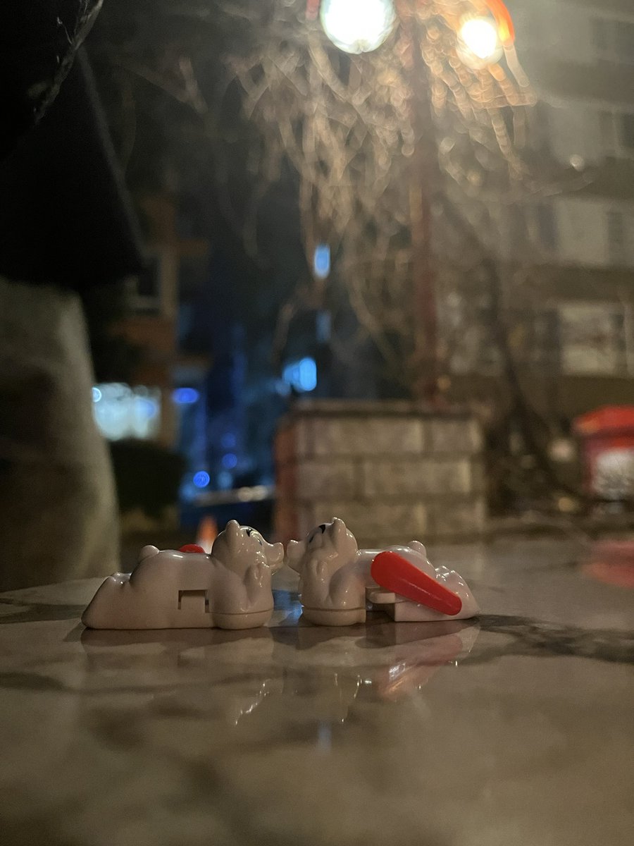 erkekdöven tweet media