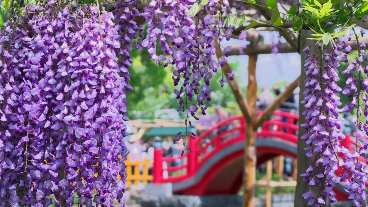 イベントチェッカー製作委員会 tweet media