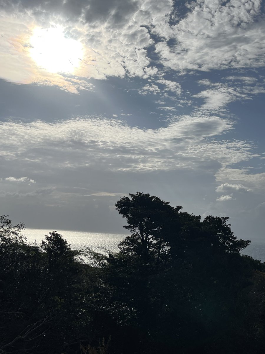 🌸同感🌸 tweet media