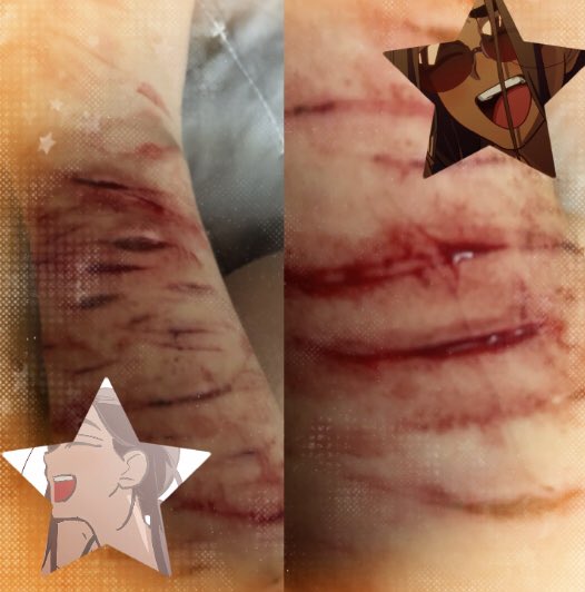 @l3x 0f sh3dtwt tweet media