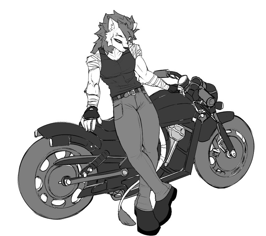 ChaosPilot tweet media