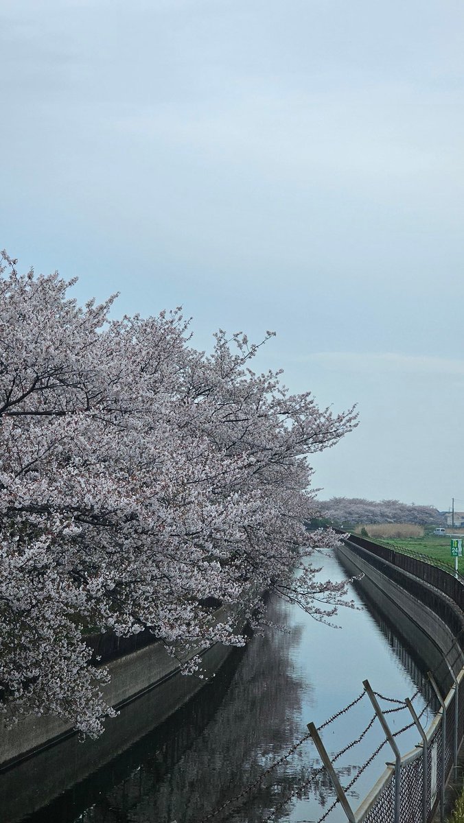 Masazon.cam tweet media