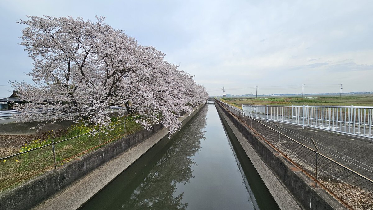 Masazon.cam tweet media