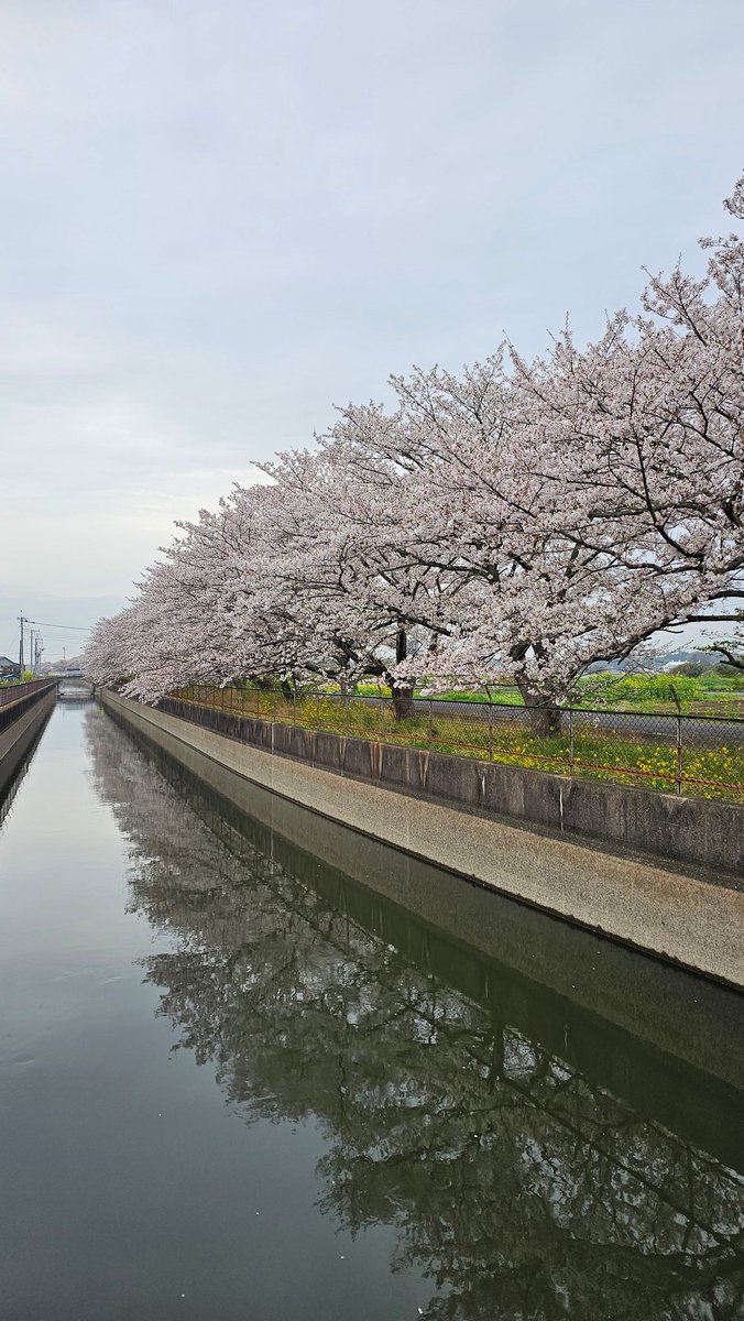 Masazon.cam tweet media