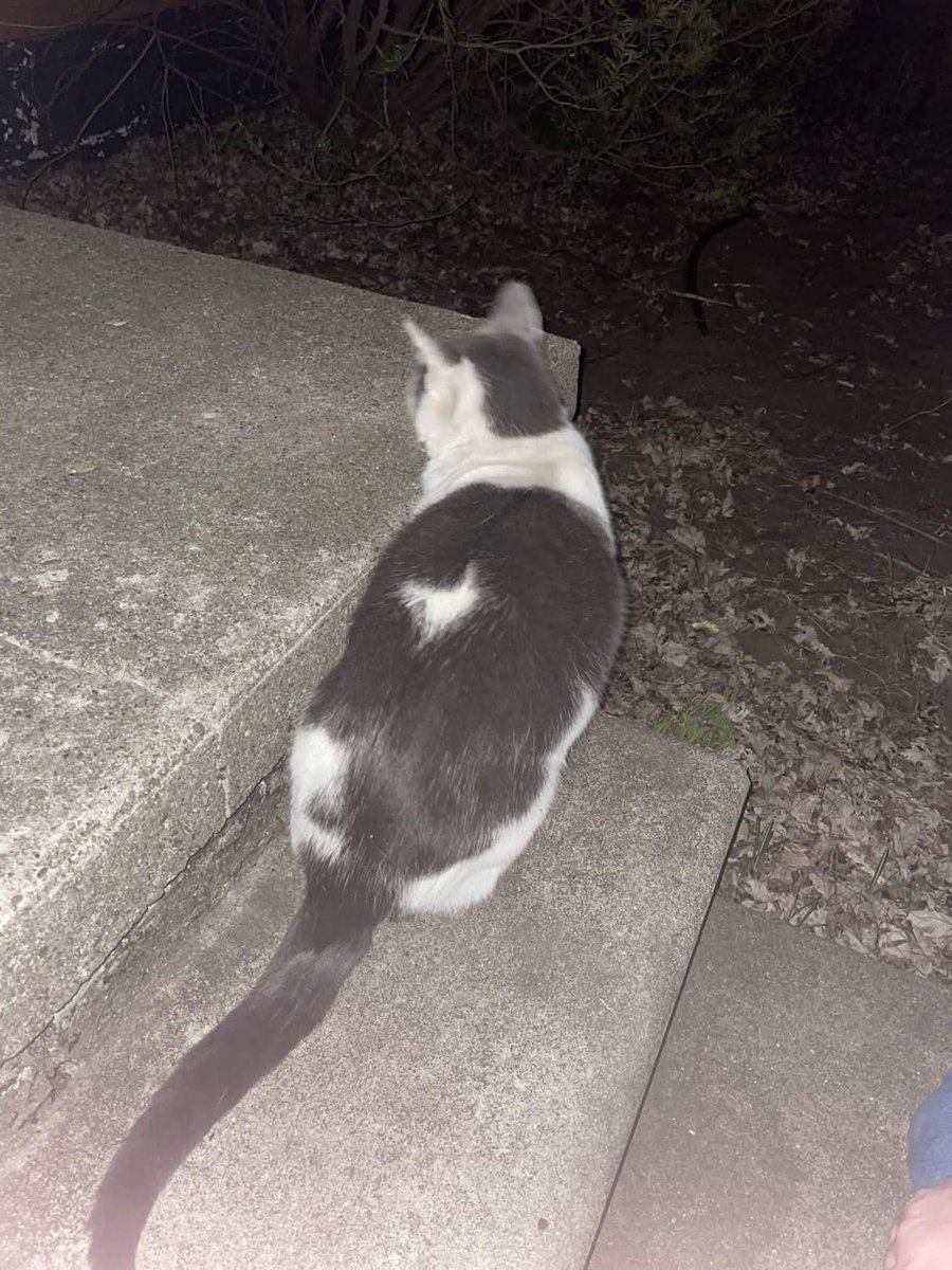 enjoyer of bad sports teams tweet media