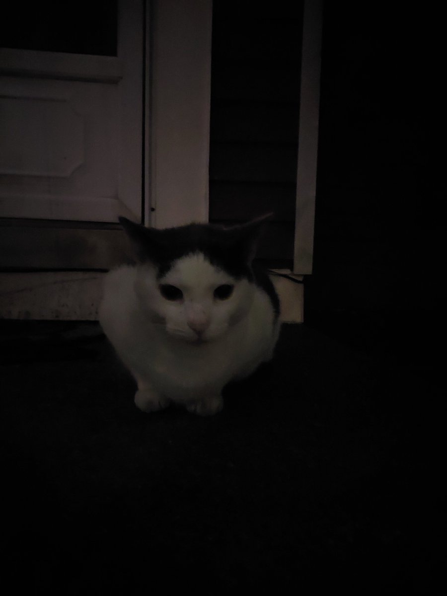 enjoyer of bad sports teams tweet media