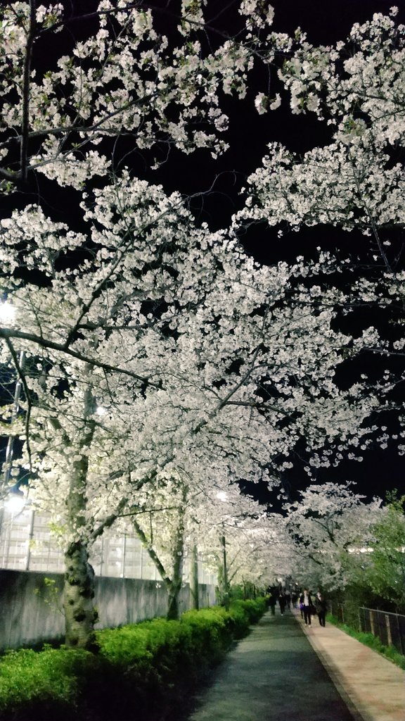 hide hide tweet media