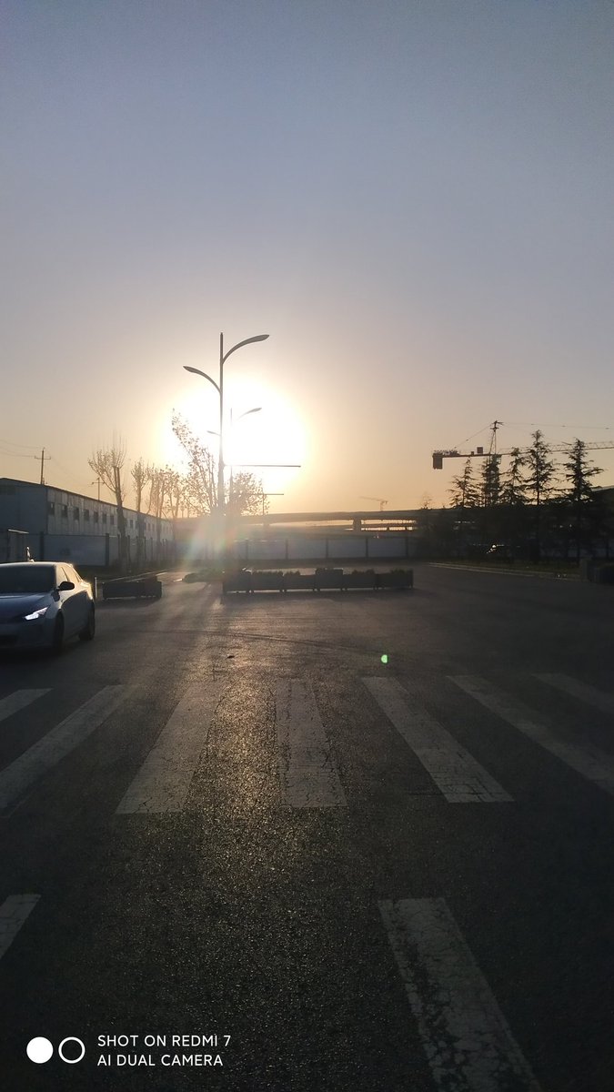 郑州👫夫妻 tweet media