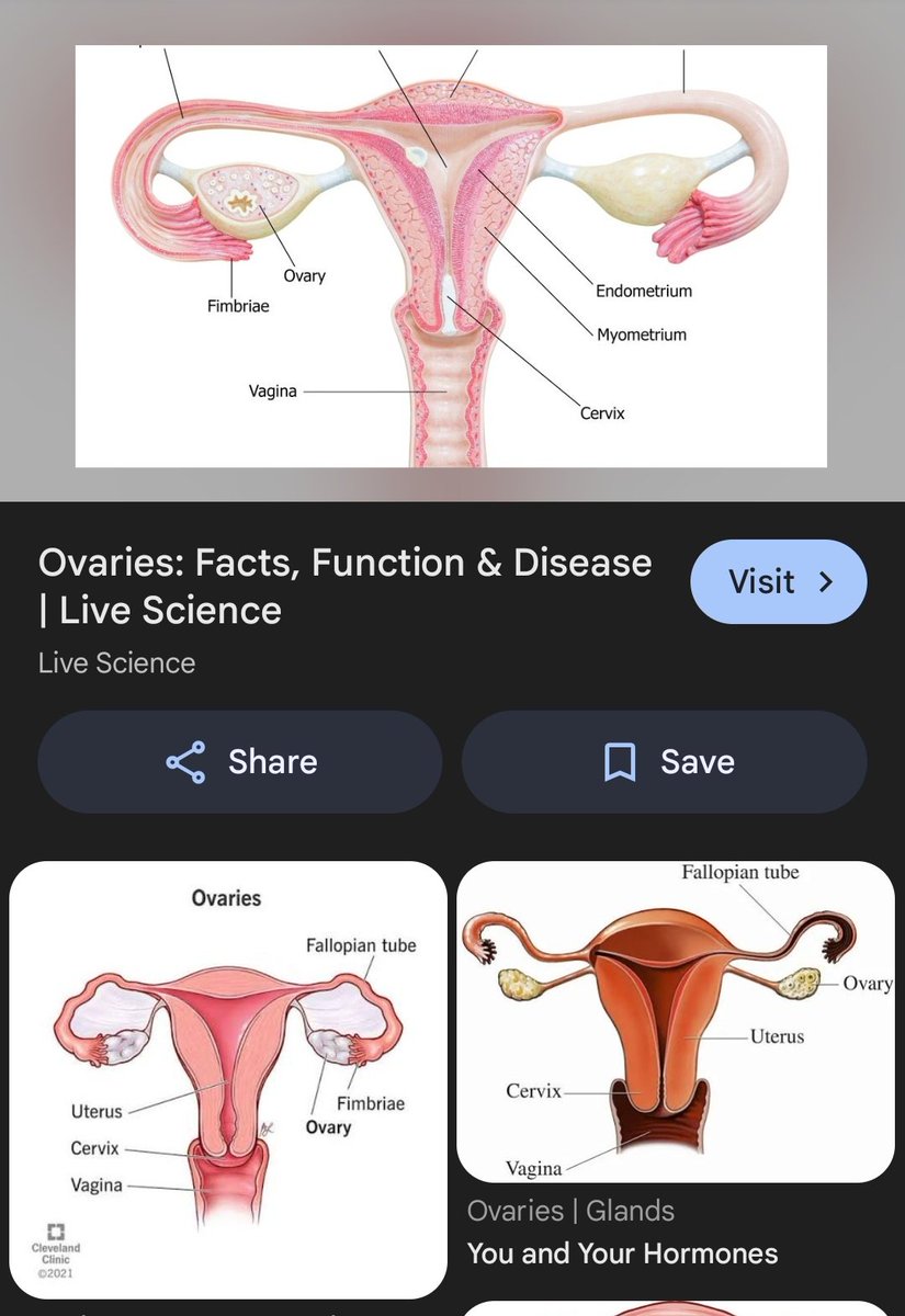 Esoteric Warfare tweet media