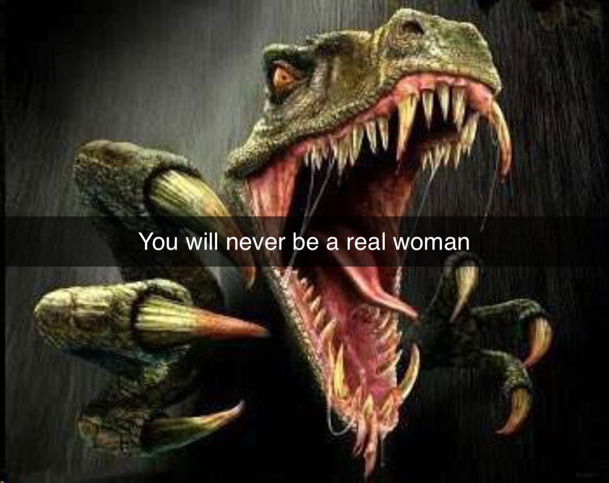 Josda🇦🇷 tweet media