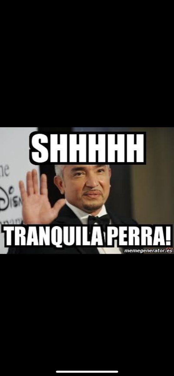 zoilo que vivo tweet media