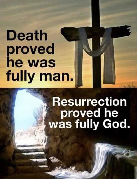 Joe_S_Pure🩸 tweet media