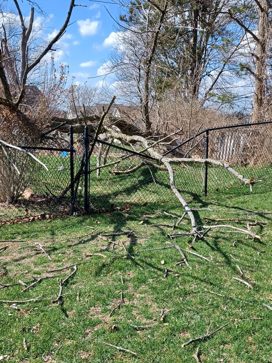 Deanna DeVeto tweet media