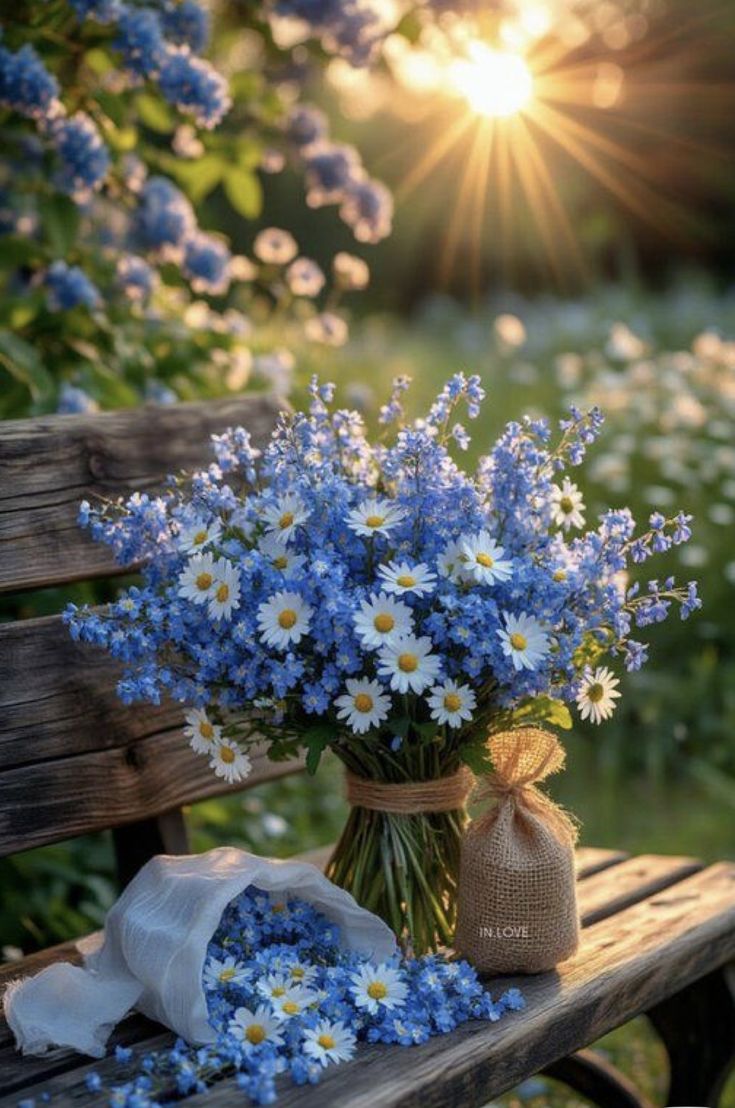 OurinIza's tweet image. Happy Saturday 

#saturdaymorning #saturdayvibe