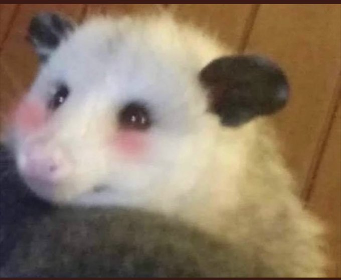 JamesBoone tweet media