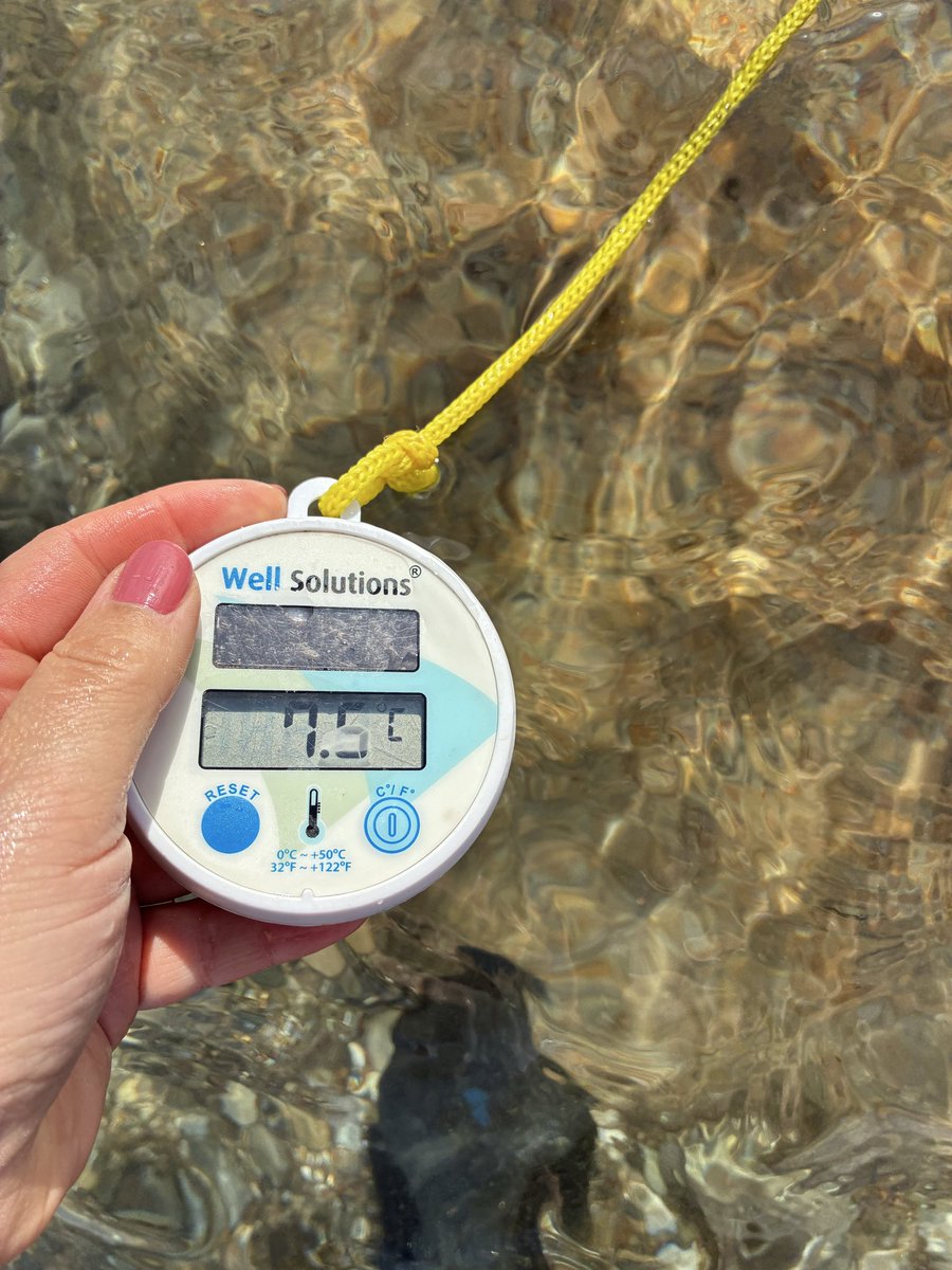 Lucky Agnes tweet media