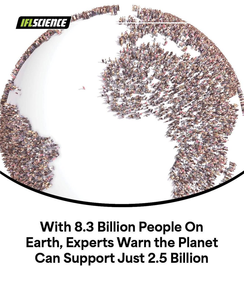 Rothmus 🏴 tweet media