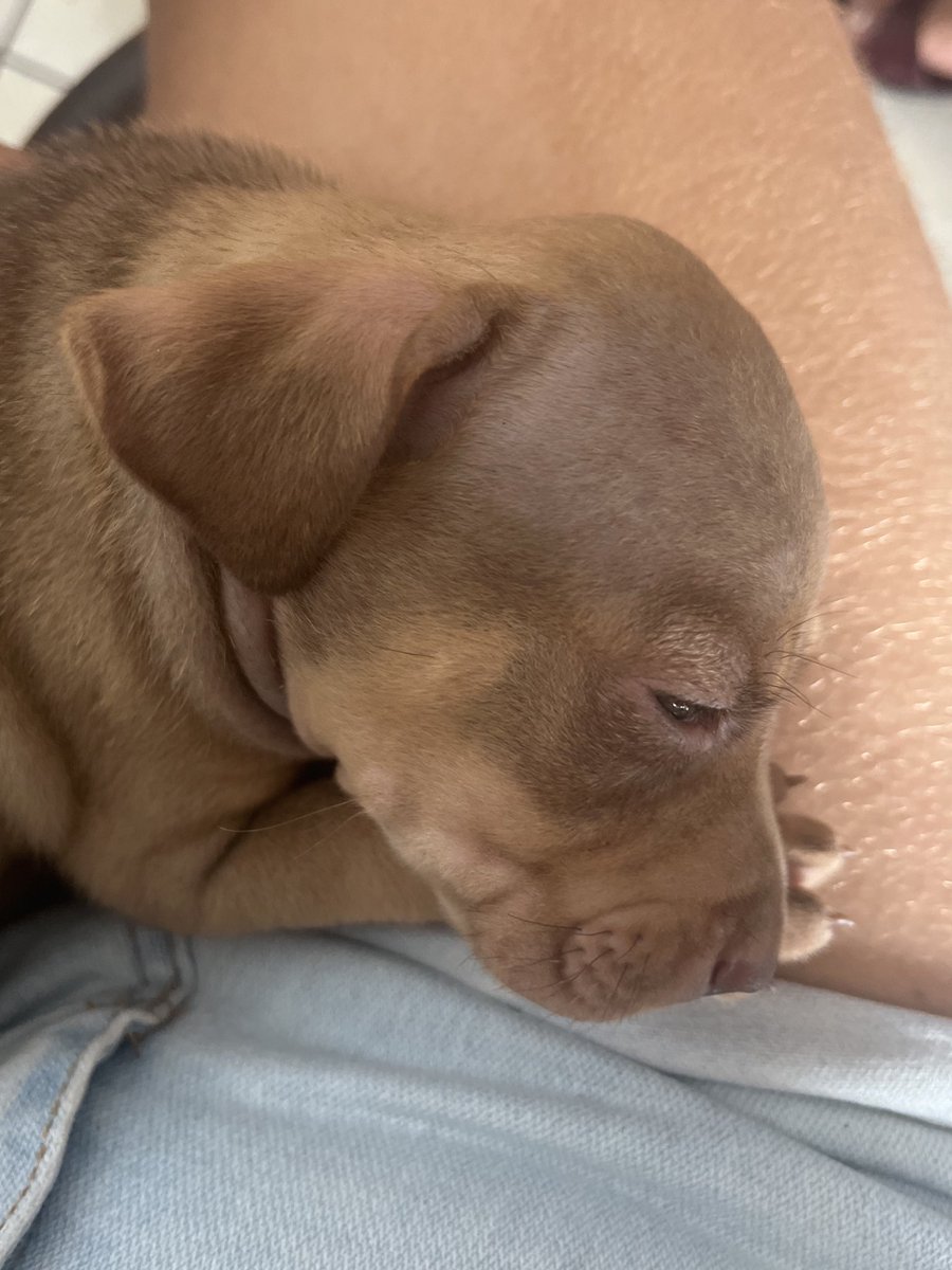 mary jane tweet media