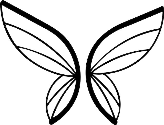 Tim Olatunji tweet media