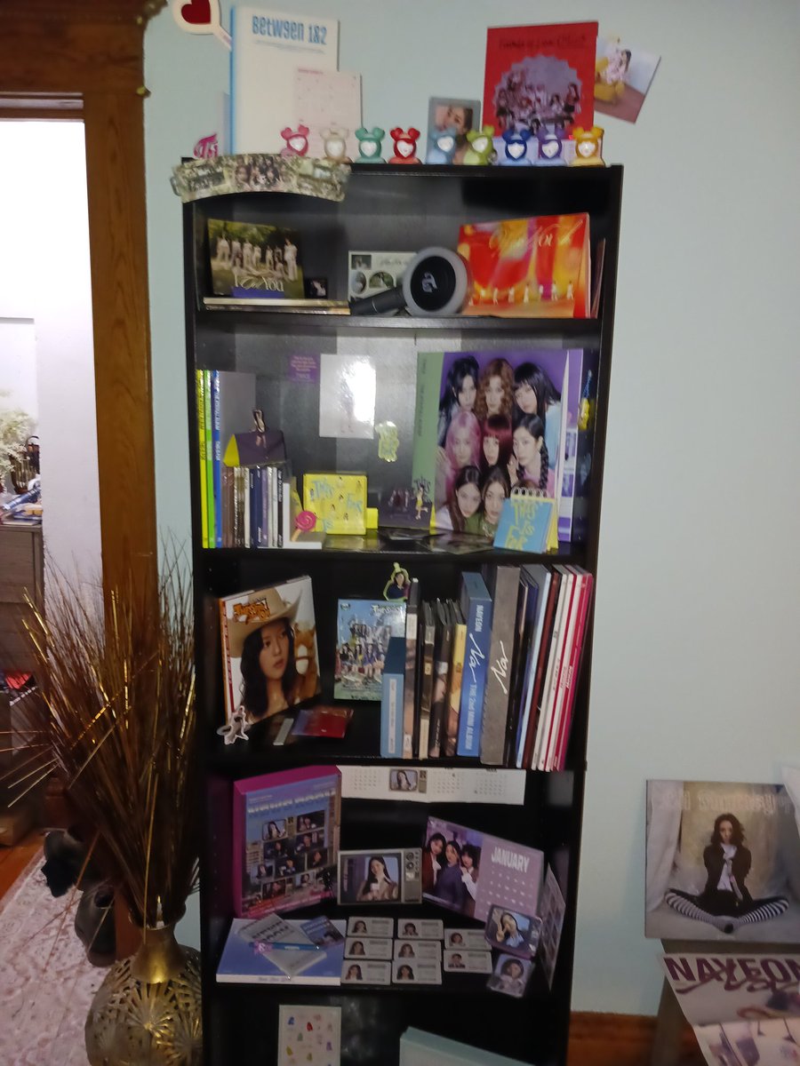 Twice FEVER is seeing Twice VIP Chicago day 1&2 tweet media