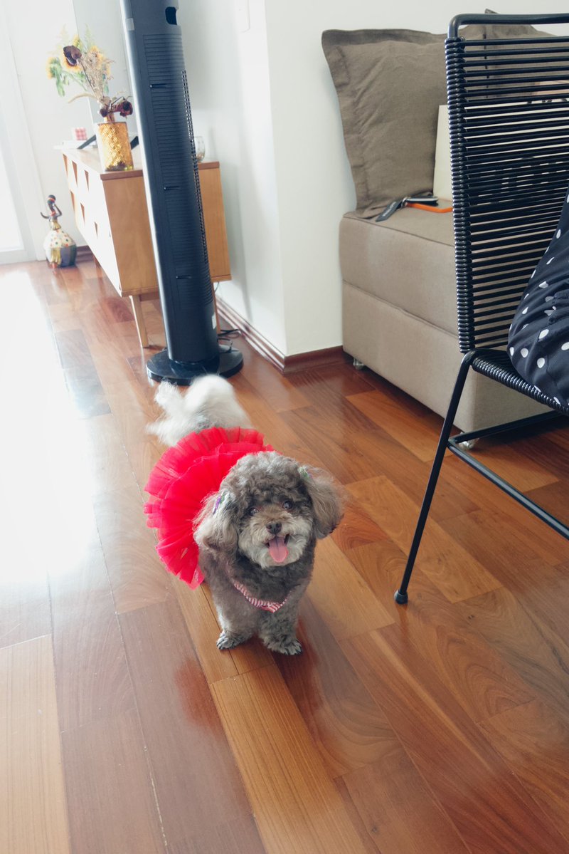 cami (@camibd) on Twitter photo 