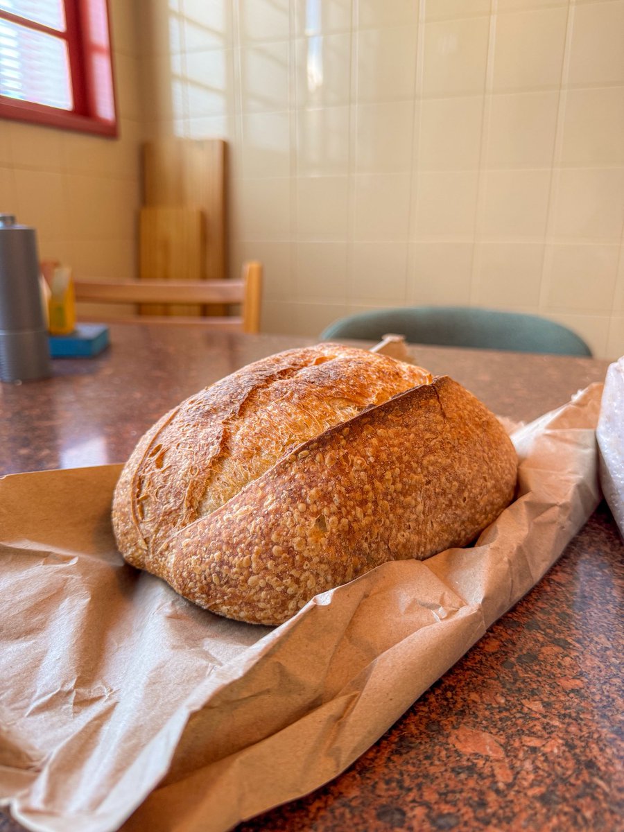 Mariana Oliveira tweet media